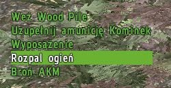 W twoim inwentarzu pojawi się stosik drewna - DayZ: Głód - jak zaspokoić? - DayZ - poradnik do gry