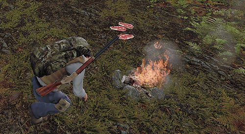 Po rozpaleniu ogniska pozostaje Ci już tylko użyć na nim domyślnej akcji Cook meat - DayZ: Głód - jak zaspokoić? - DayZ - poradnik do gry