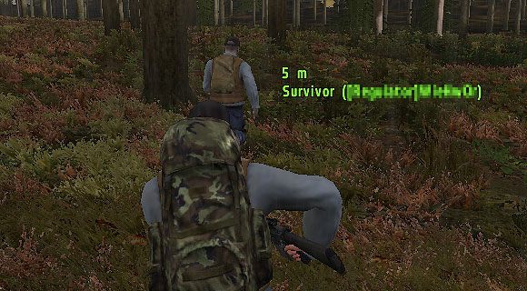 Plakietki identyfikujące wrogów/przyjaciół są kolejną bardzo zwodniczą opcją - DayZ: Poziomy trudności na serwerach - DayZ - poradnik do gry