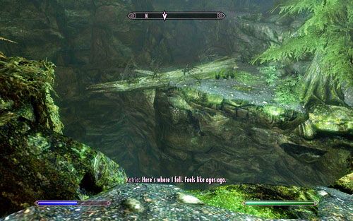 Dowiesz się również, że na końcu przewróconego pnia znajduje się jej łuk Zephyr - Lost to the Ages (1) | Wspólne zadania poboczne | TES V Skyrim Dawnguard - The Elder Scrolls V: Skyrim - Dawnguard - poradnik do gry