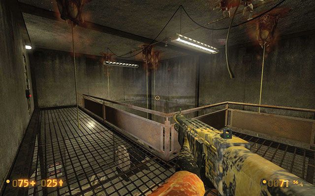 Znajdziesz się w pomieszczeniu z wiszącymi pod sufitem stworami - Apprehension - W drodze na powierzchnię | Apprehension | Black Mesa - Black Mesa - poradnik do gry