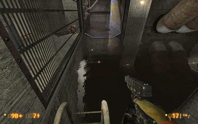 Płyń przed siebie, likwidując trzymające się sufitu Barnacle - Forget About Freeman - W kanałach | Forget About Freeman | Black Mesa - Black Mesa - poradnik do gry