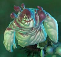 Mycon Brute - The Rotted Path | Przeciwnicy w Torchlight II - Akt III - Torchlight 2 - poradnik do gry