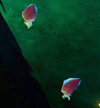 Myconite - Fungal Caves | Przeciwnicy w Torchlight II - Akt III - Torchlight 2 - poradnik do gry