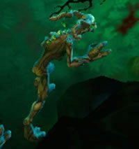 Splinter Wraith - The Blightbogs | Przeciwnicy w Torchlight II - Akt III - Torchlight 2 - poradnik do gry