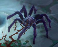 Forest Blackfang - Sundered Battlefield | Przeciwnicy w Torchlight II - Akt III - Torchlight 2 - poradnik do gry