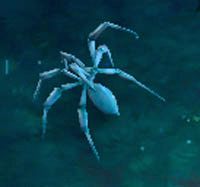 Venomous Cliff Crawler - 3 Sisters | Przeciwnicy w Torchlight II - Akt III - Torchlight 2 - poradnik do gry