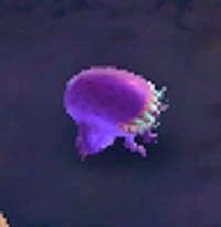 Netherling - The Broken Mines II | Przeciwnicy w Torchlight II - Akt III - Torchlight 2 - poradnik do gry