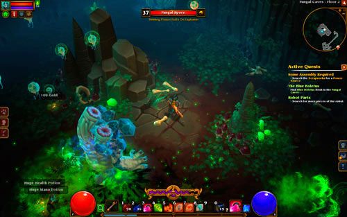 W samej jaskini nie znajduje się nic ciekawego - brak tu ukrytych przejść czy jakichkolwiek dodatkowych elementów - The Fungal Caves | Opis krain w Torchlight II - Akt III - Torchlight 2 - poradnik do gry