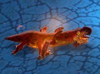 Salamander - Brood Hive | Przeciwnicy w Torchlight II - Akt II - Torchlight 2 - poradnik do gry