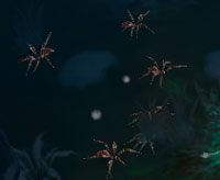 Spiderling - The Widows Veil | Przeciwnicy w Torchlight II - Akt I - Torchlight 2 - poradnik do gry