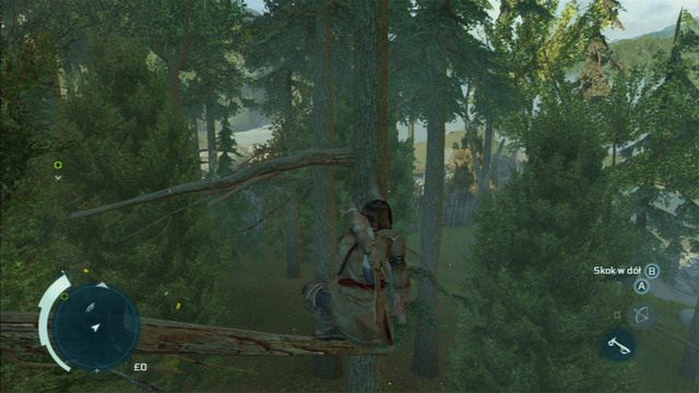 Poszukiwany przedmiot leży na jednego z jego gałęzi - Sekwencja 4 - Pióra i drzewa | Solucja Assassins Creed 3 - Assassins Creed 3 - poradnik do gry