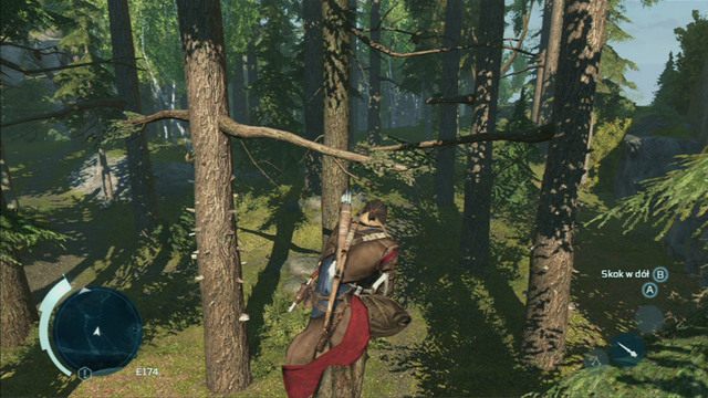 Nowością w Assassins Creed III są duże i rozbudowane lasy - Bieganie po drzewach | Eksploracja w Assassins Creed 3 - Assassins Creed 3 - poradnik do gry
