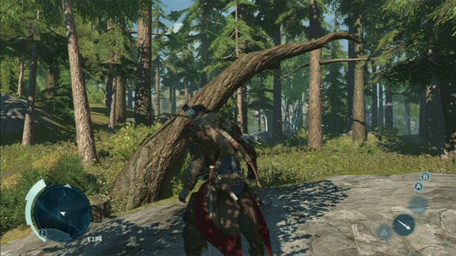 Leśne trasy wspinaczkowe rozpoczynają się najczęściej od powalonych drzew - Bieganie po drzewach | Eksploracja w Assassins Creed 3 - Assassins Creed 3 - poradnik do gry