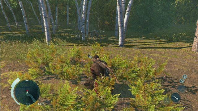 Krzaki - do krycia się w lesie służą gęste i wysokie krzaki, które rosną między drzewami i na brzegach strumieni - Kryjówki | Eksploracja w Assassins Creed 3 Remastered - Assassins Creed 3 - poradnik do gry