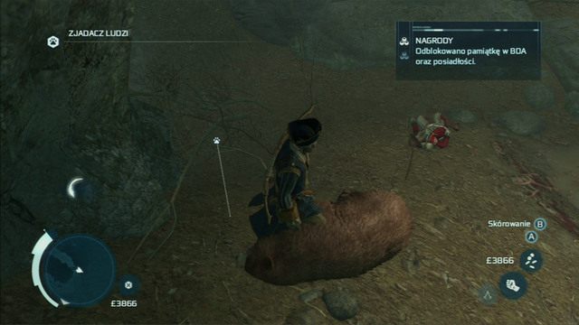 Zabijając niedźwiedzia zakończysz zadanie - Towarzystwo łowieckie | Zadania klubów w Assassins Creed 3 - Assassins Creed 3 - poradnik do gry