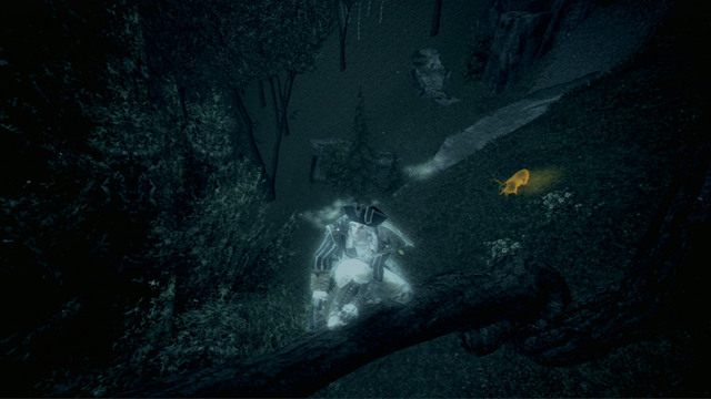 Poszukiwane zwierze powinno świecić na złoto - Towarzystwo łowieckie | Zadania klubów w Assassins Creed 3 - Assassins Creed 3 - poradnik do gry