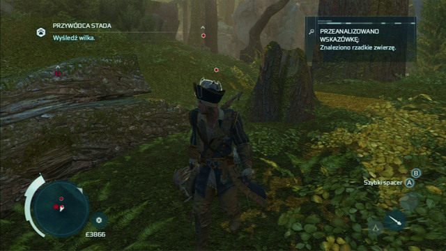 Gdy podejdziesz do drugich śladów, zostaniesz zaatakowany przez grupkę bestii - Towarzystwo łowieckie | Zadania klubów w Assassins Creed 3 - Assassins Creed 3 - poradnik do gry