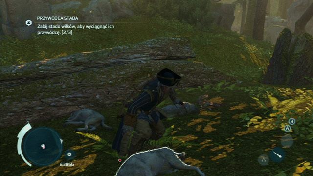 Zabij trzy basiory, a pojawi się ich przywódca - Towarzystwo łowieckie | Zadania klubów w Assassins Creed 3 - Assassins Creed 3 - poradnik do gry