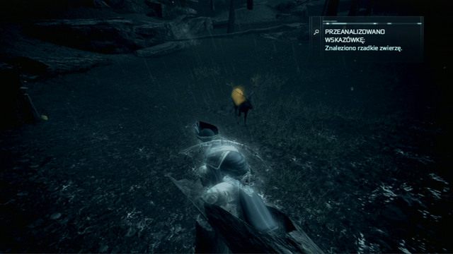 Twoją kolejną ofiarą jest stary łoś - Towarzystwo łowieckie | Zadania klubów w Assassins Creed 3 - Assassins Creed 3 - poradnik do gry