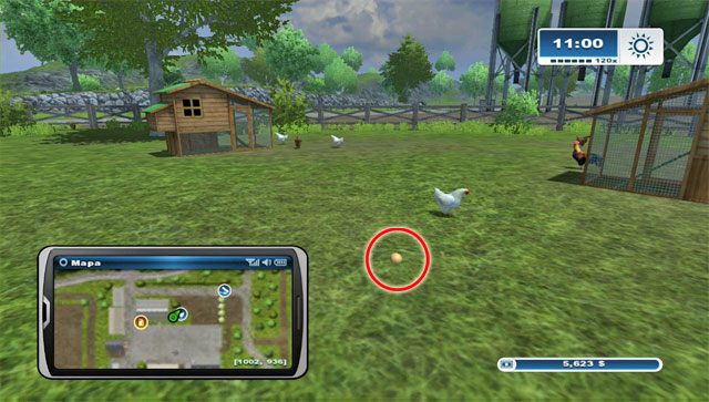 W sklepie możesz zakupić kury, które będą chodzić po swoim wybiegu - Hodowla kur | Hodowla zwierząt w Farming Simulator 2013 - Farming Simulator 2013 - poradnik do gry