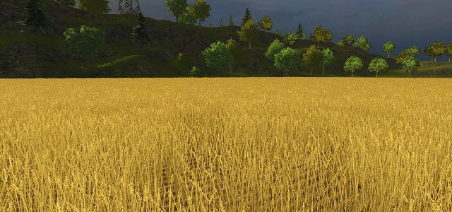 Do tych pól malowanych zbożem rozmaitem, wyzłacanych pszenicą, posrebrzanych żytem - Uprawa zboża | Uprawa ziemi w Farming Simulator 2013 - Farming Simulator 2013 - poradnik do gry