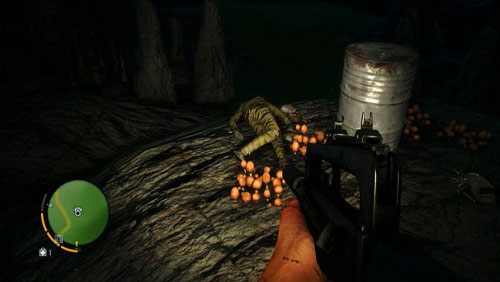 Na jej końcu odnajdziesz zwłoki z listem - Wyspa północna (północny wschód) | Listy zaginionych (ukryte przedmioty) - Far Cry 3 - poradnik do gry