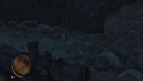 Przejdź do następnej jaskini, gdzie po lewej stronie znajduje się przedmiot - Wyspa północna (północny zachód) | Przedmioty kultu (ukryte przedmioty) - Far Cry 3 - poradnik do gry