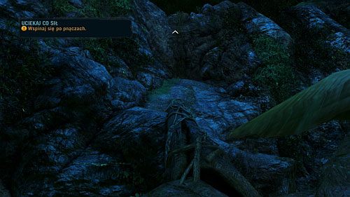 Biegnąc w kierunku kładki, w postaci przewróconego drzewa, uważaj na goniącego Cię niedźwiedzia - Uciekaj co sił | Misje główne w Far Cry 3 - Far Cry 3 - poradnik do gry