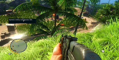 Przy następnych uprawach, również pozostań na wzniesieniu po prawej stronie - Gniazdo szerszeni | Misje główne w Far Cry 3 - Far Cry 3 - poradnik do gry