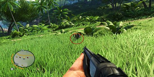 Poszukiwanego psa odnalazłem na wzniesieniu po lewej stronie - Wielki pies | Misje fabularne w Far Cry 3 - Far Cry 3 - poradnik do gry