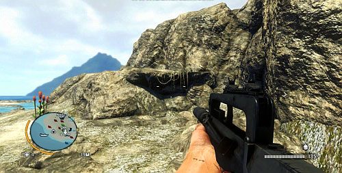 Staniesz przed półką, z której będą zwisać pnącza - Wyspa północna (południowy zachód) | Przedmioty kultu (ukryte przedmioty) - Far Cry 3 - poradnik do gry