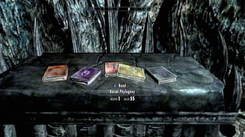 W nowej lokacji zabij następnego Seekera i skorzystaj z przycisku zaraz przed Tobą - Black Book - The Hidden Twilight [Czarna Księga - Ukryty Zmierzch] | Czarne Księgi - The Elder Scrolls V: Skyrim - Dragonborn - poradnik do gry