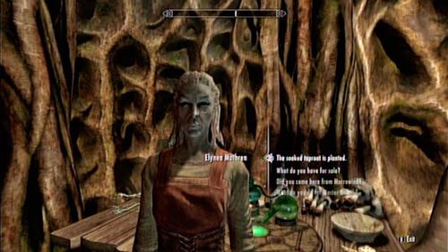 Wróć do apteki i powiedz Elynei, że wszystko zostało załatwione - Healing a House [Uzdrawianie domu] | Wątki poboczne - Tel Mithryn - The Elder Scrolls V: Skyrim - Dragonborn - poradnik do gry