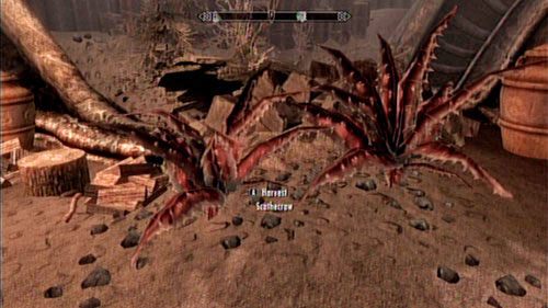 Masz szczęście - boleśniak to najbardziej rozpowszechniona roślina na całym Solstheim - The Chief of Thirsk Hall [Wódz Izby Thirsk] | Wątki poboczne - Inne - The Elder Scrolls V: Skyrim - Dragonborn - poradnik do gry