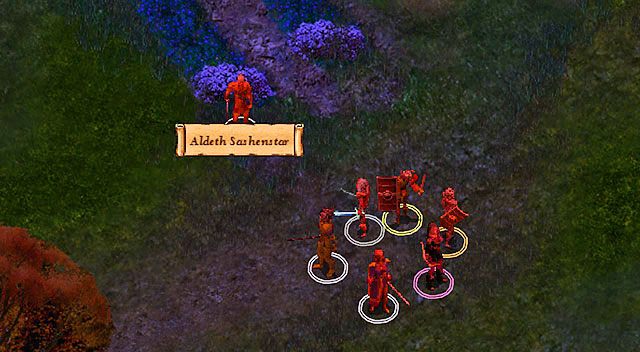 Tuż przed leśniczówką w tej lokacji spotkasz Aldetha Sashenstara [A] z Ligi Kupieckiej we Wrotach Baldura - Aldeth Sashenstar | Rozdział 4 - zadania poboczne | Solucja Baldurs Gate - Baldurs Gate: Enhanced Edition - poradnik do gry