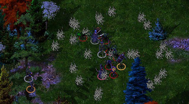 Na koniec warto zajrzeć do zagajnika, zamieszkanego przez grupę pająków i ettercapów - Zwój Fahringtona | Rozdział 4 - zadania poboczne | Solucja Baldurs Gate - Baldurs Gate: Enhanced Edition - poradnik do gry