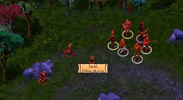 Rzeczone Tasloi spotkasz na polanie w punkcie [1] - Na ratunek Tamah; Płaszcz Gurkea | Rozdział 4 - zadania poboczne - Baldurs Gate: Enhanced Edition - poradnik do gry