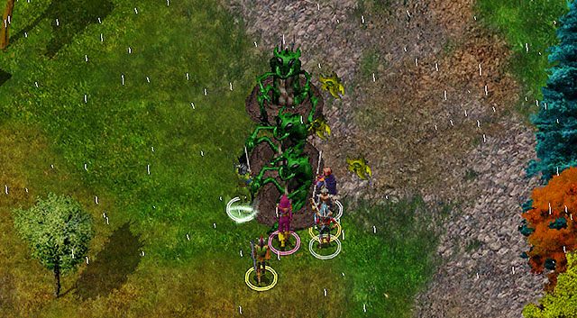 Ankhegów w okolicy pojawia się niezliczona ilość - Ubijanie Ankhegów | Rozdział 5 - zadania poboczne | Solucja Baldurs Gate - Baldurs Gate: Enhanced Edition - poradnik do gry