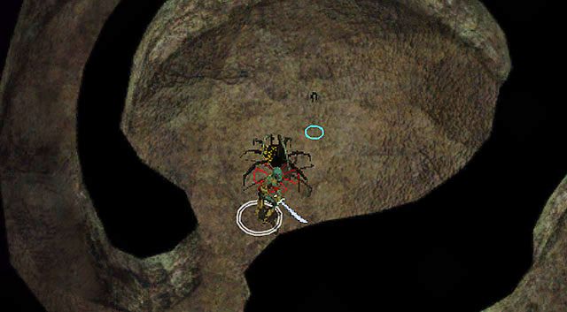 W wielu zakamarkach jaskiń czają się różnego rodzaju pająki - Morderstwo | Rozdział 6 - zadania główne | Solucja Baldurs Gate - Baldurs Gate: Enhanced Edition - poradnik do gry