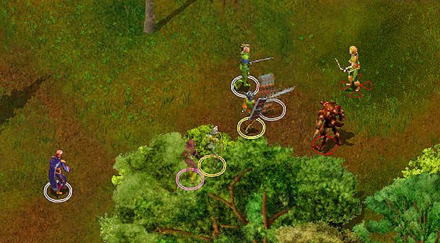 Blisko miejsca w którym się pojawiłeś, zostaniesz zatrzymany przez Palina [A] - Tajemnicza Wyspa (1) | Opowieści z Wybrzeża Mieczy | Solucja Baldurs Gate - Baldurs Gate: Enhanced Edition - poradnik do gry