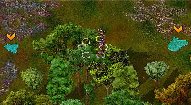 Kilka kwiatów powinieneś już mieć, po tym jak znalazłeś je w kabinie Dradeela - Tajemnicza Wyspa (2) | Opowieści z Wybrzeża Mieczy | Solucja Baldurs Gate - Baldurs Gate: Enhanced Edition - poradnik do gry