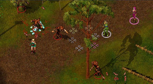 Po wyjściu z Domu Przywódcy cała wioska wilkołaków rzuci się na Ciebie - Tajemnicza Wyspa (2) | Opowieści z Wybrzeża Mieczy | Solucja Baldurs Gate - Baldurs Gate: Enhanced Edition - poradnik do gry