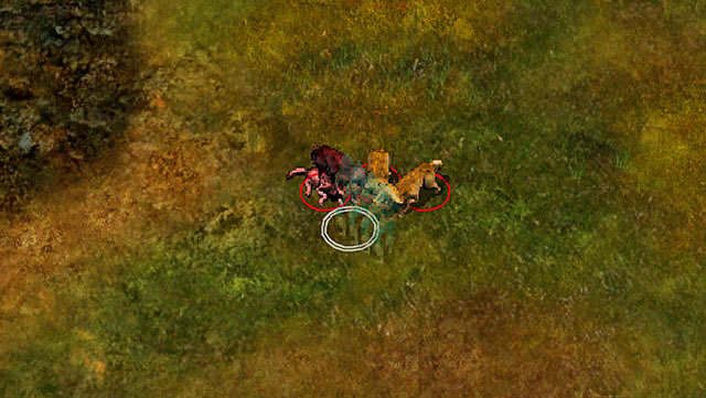 Przejdźmy do najtrudniejszej części tej lokalizacji - Podróż do Nashkel | Rozdział 1 - zadania główne | Solucja Baldurs Gate - Baldurs Gate: Enhanced Edition - poradnik do gry