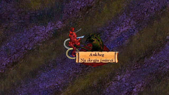 Ankhegi grasują po niemal całej okolicy Wioski Rybackiej - Oferta Taeroma | Rozdział 1 - zadania poboczne | Solucja Baldurs Gate - Baldurs Gate: Enhanced Edition - poradnik do gry