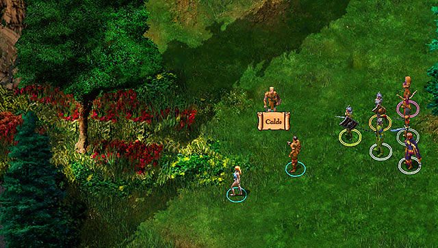 Idź za driadą i porozmawiaj z Caldo [B] - Driada z Chmurnych Szczytów | Rozdział 2 - zadania poboczne | Baldurs Gate - Baldurs Gate: Enhanced Edition - poradnik do gry