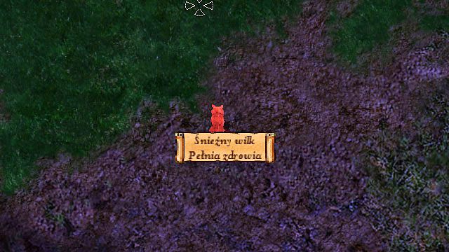 Śnieżne wilki (z których pochodzą wspomniane wyżej skóry) grasują w okolicach Chmurnych Szczytów, a zatem na południowym krańcu mapy, poniżej Nashkel - Wilcze Skóry | Rozdział 2 - zadania poboczne | Solucja Baldurs Gate - Baldurs Gate: Enhanced Edition - poradnik do gry