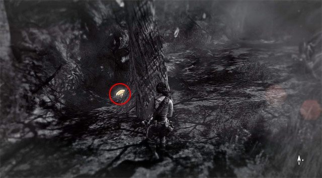 GRZYB 2/10 - Grzybobranie | Sekrety - Summit Forest (Las na szczycie) | Sekrety Tomb Raider - Tomb Raider - poradnik do gry