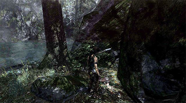 GRZYB 7/10 - Grzybobranie | Sekrety - Summit Forest (Las na szczycie) | Sekrety Tomb Raider - Tomb Raider - poradnik do gry