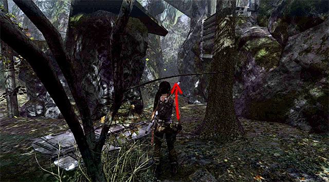 GRZYB 9/10 - Grzybobranie | Sekrety - Summit Forest (Las na szczycie) | Sekrety Tomb Raider - Tomb Raider - poradnik do gry